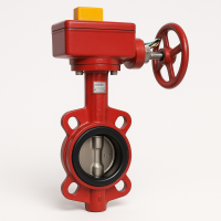 Затвор дисковый межфланцевый FBW BWGT DN250 PN16