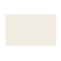 Лист оцинкованный окрашенный 0.6 мм RAL 9010