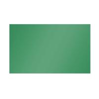 Лист оцинкованный окрашенный 0.35 мм RAL 6005