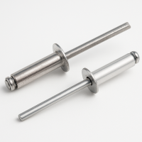 Заклепка вытяжная комбинированная алюминий/сталь 24х10 DIN 7337 100 штук МС