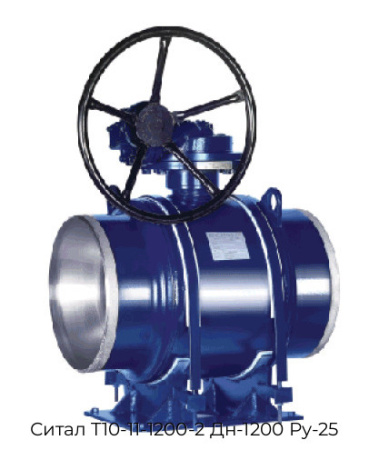 Ситал T10-11-1200-2 Дн-1200 Ру-25