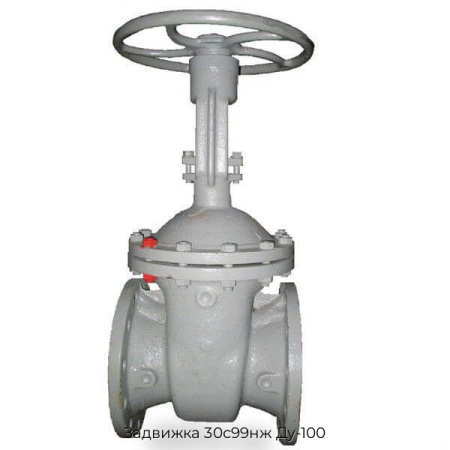 Задвижка 30с99нж Ду-100