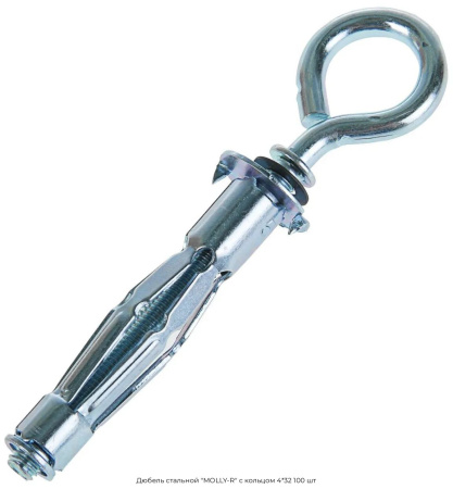 Дюбель стальной "MOLLY-R" с кольцом 4*32 100 шт